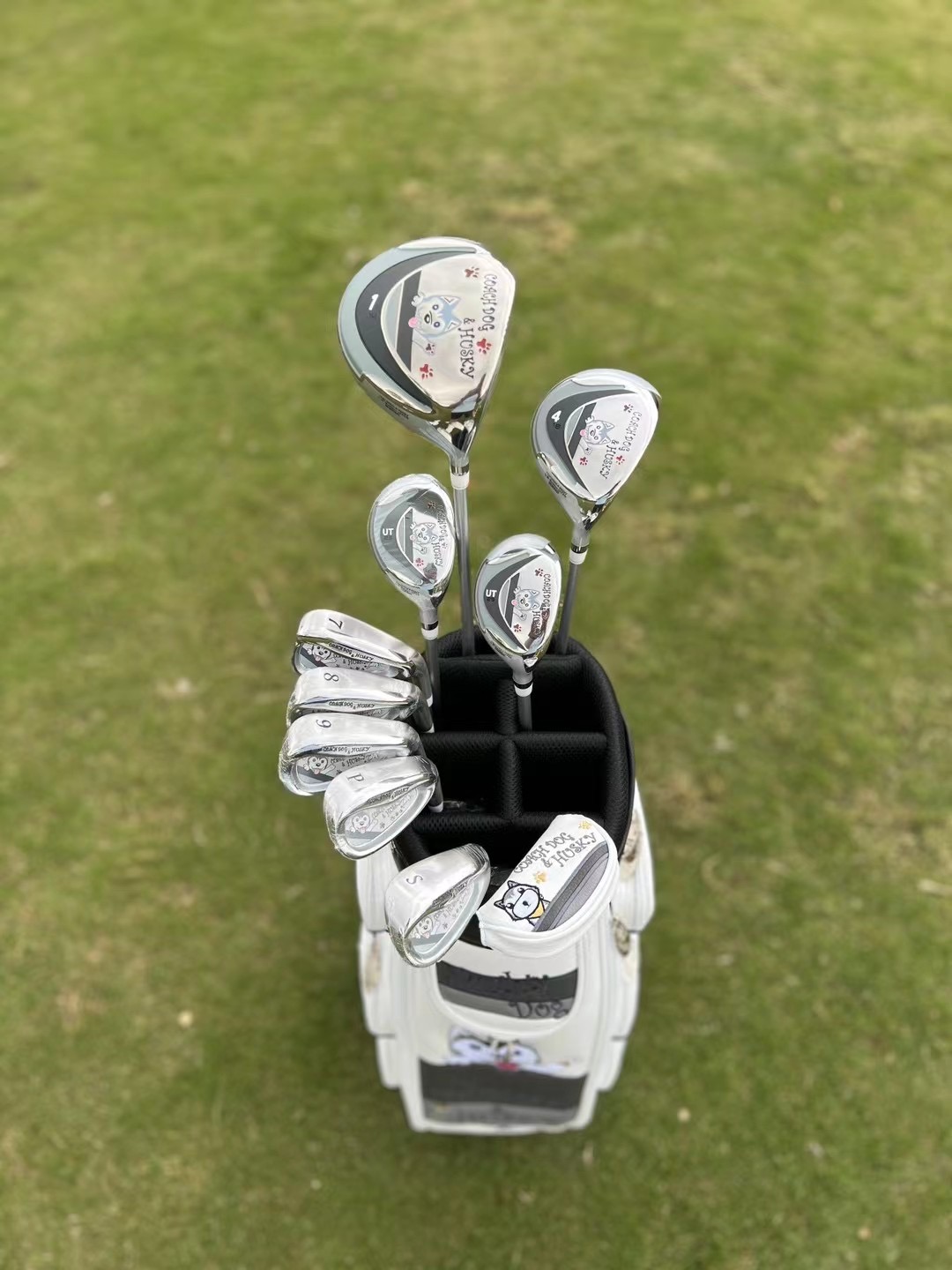 Happy dog ​​cartoon image golf – Golf Equipment Images recenzja i cena
