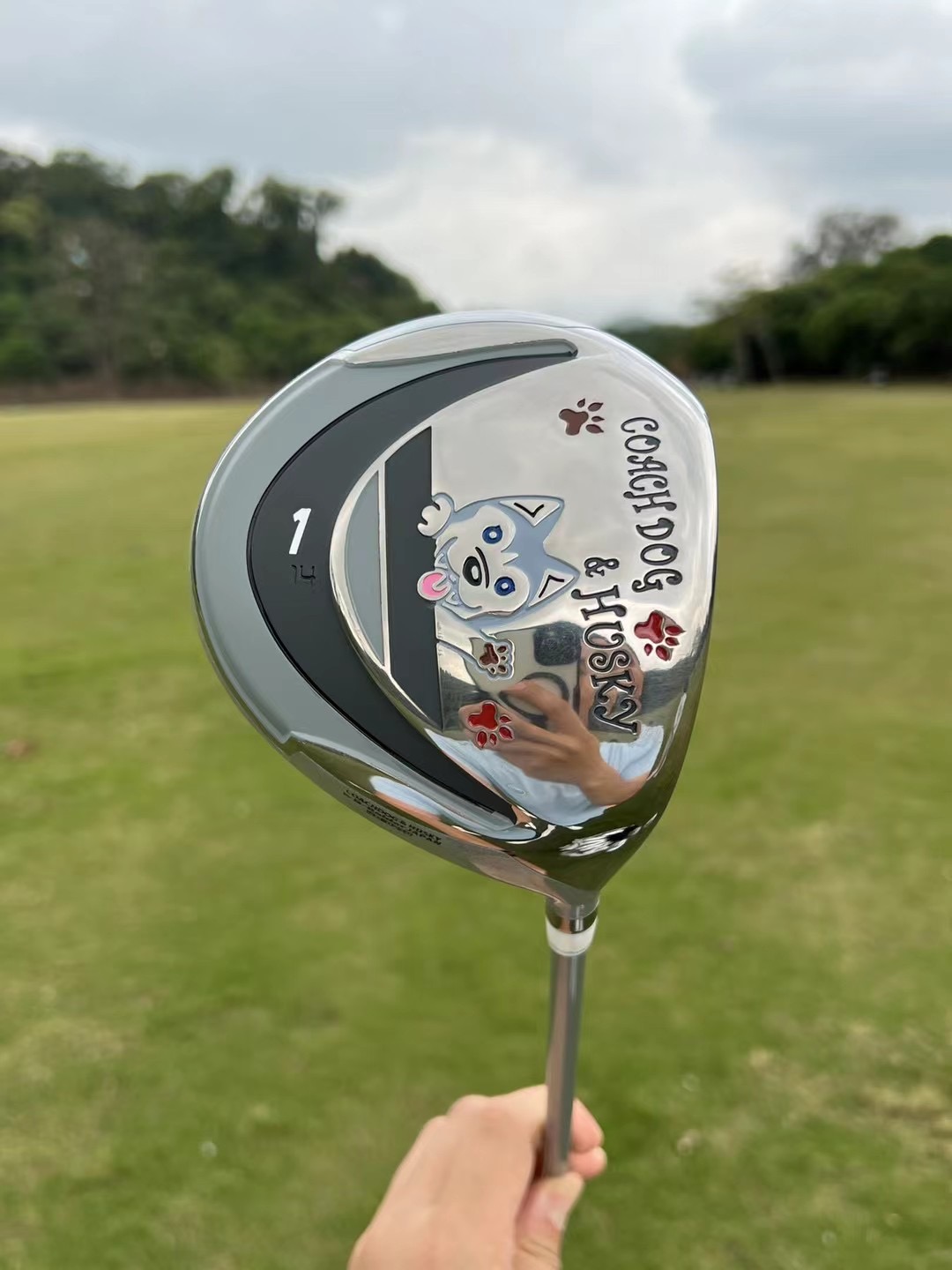 Happy dog ​​cartoon image golf – Golf Equipment Images recenzja i cena
